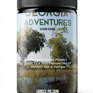 Georgia State-by-State Day Trip Adventures 2nd Edition Print Replica-0