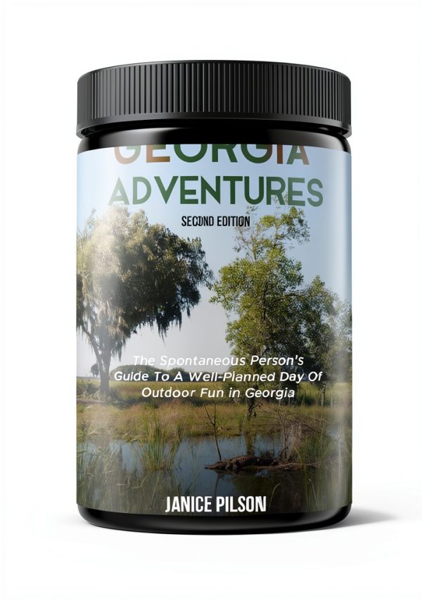 Georgia State-by-State Day Trip Adventures 2nd Edition Print Replica-0
