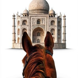 Equestrian Adventuresses Series: Book 2, Travel with Pets Kindle Store-0