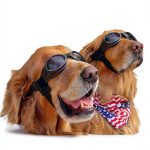 Travel with Pets Guide by Janet Charbonneau Kindle eBook 591 Pages-0