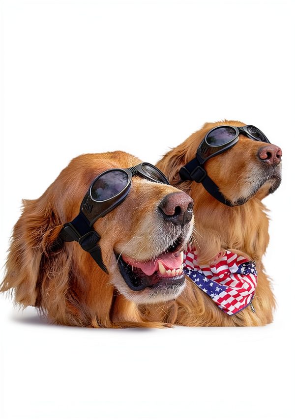 Travel with Pets Guide by Janet Charbonneau Kindle eBook 591 Pages-0